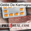 Gelée De Karmagra new13